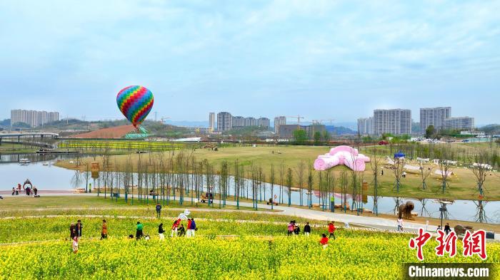 湖北宜昌卷橋河濕地公園內(nèi)，市民相伴享受都市里的田園之樂 周星亮 攝