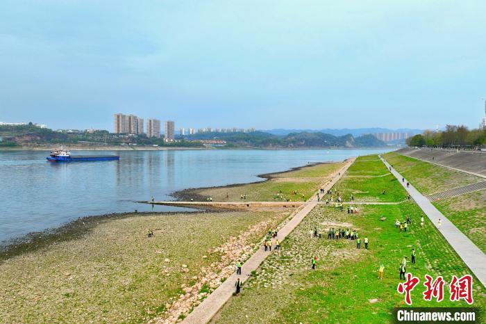 在宜昌城區(qū)長江岸畔，市民化身“護江使者”沿江而行 周星亮 攝