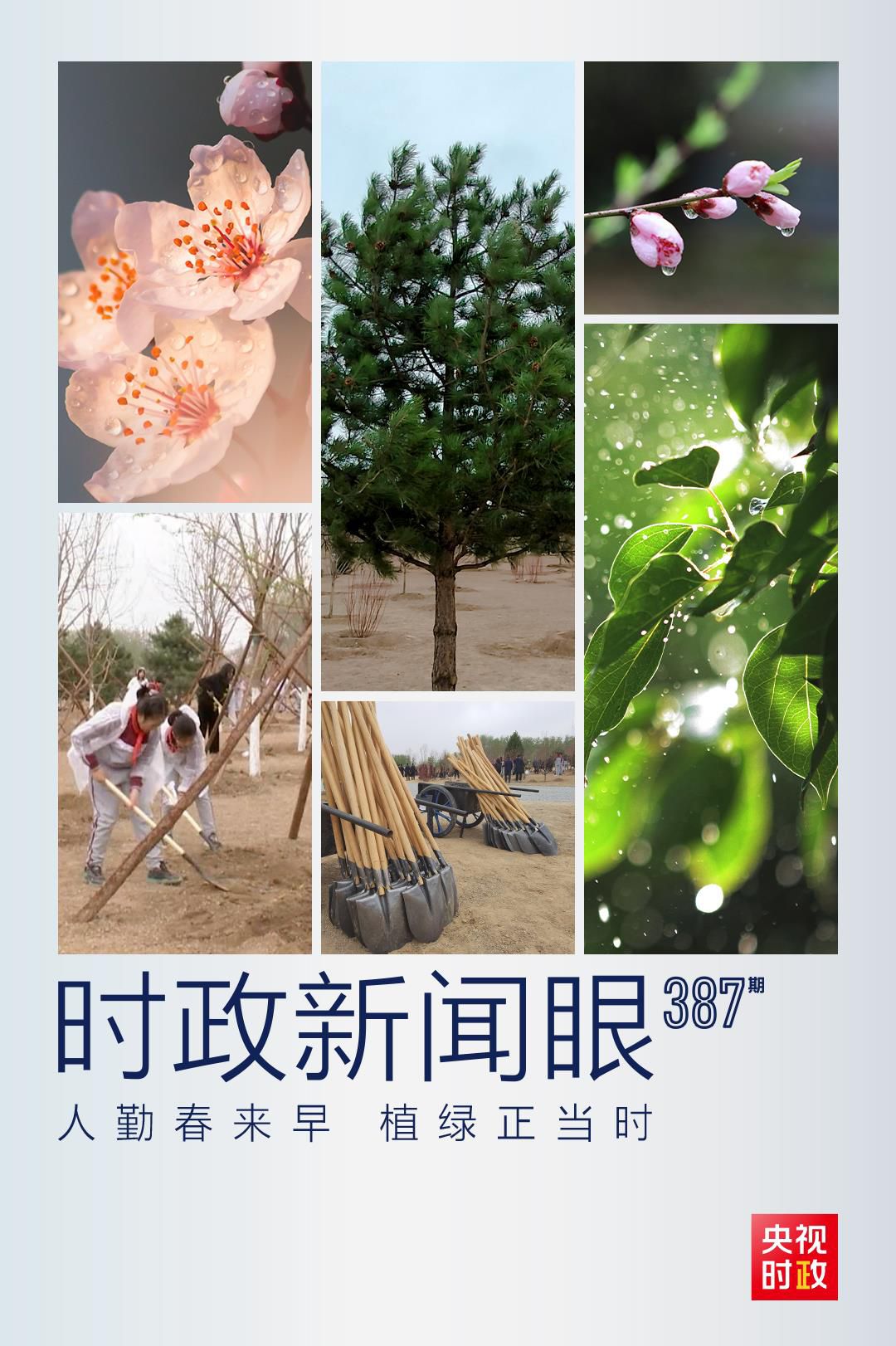 在今年首都義務(wù)植樹(shù)現(xiàn)場(chǎng)，習(xí)近平這三句話飽含深意